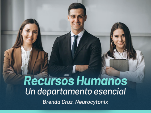 Recursos Humanos: Un departamento esencial en tu empresa